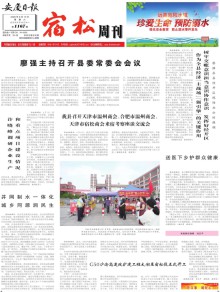 安庆日报期刊